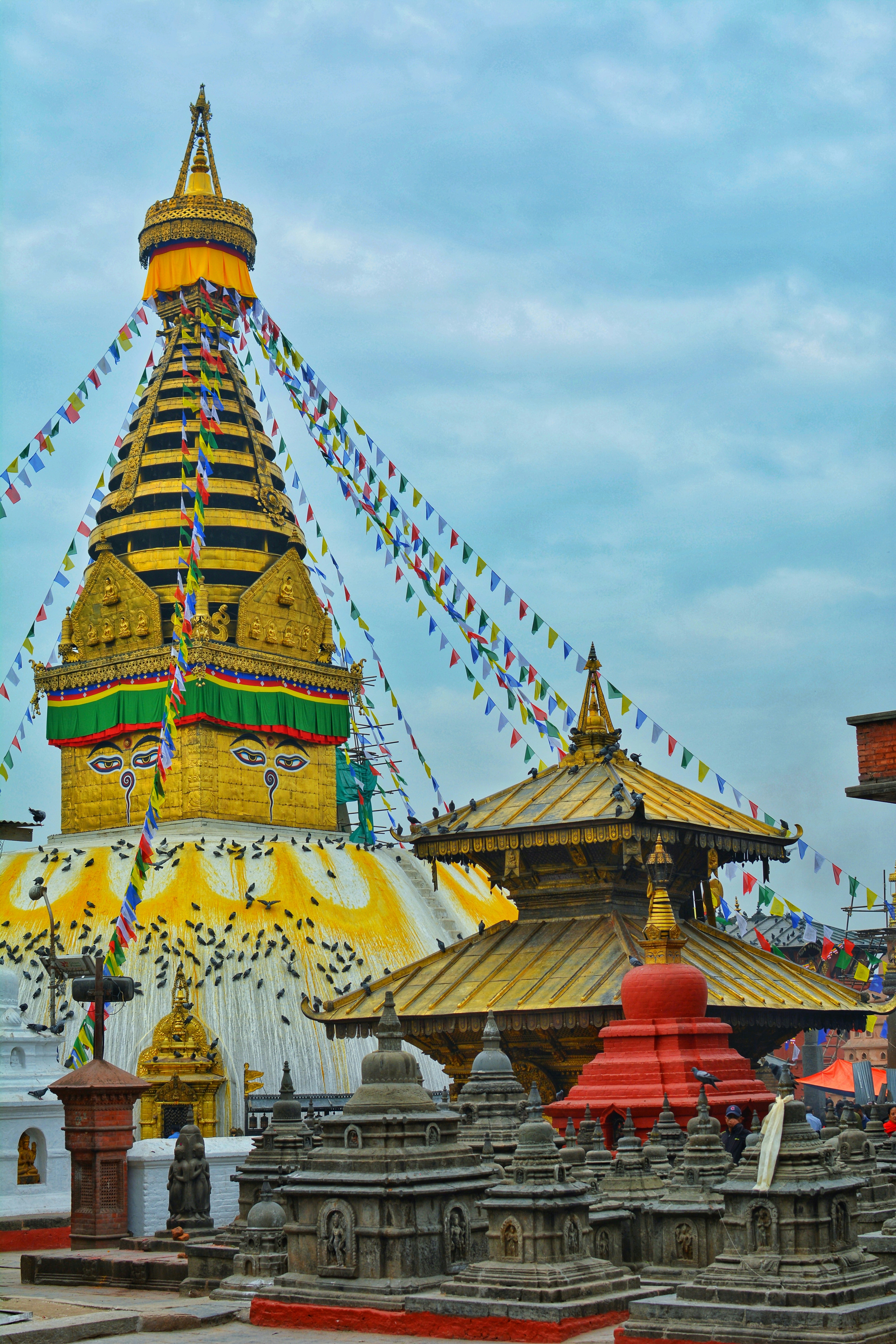 Nepal Cultural and Wildlife Tour - 11 Days