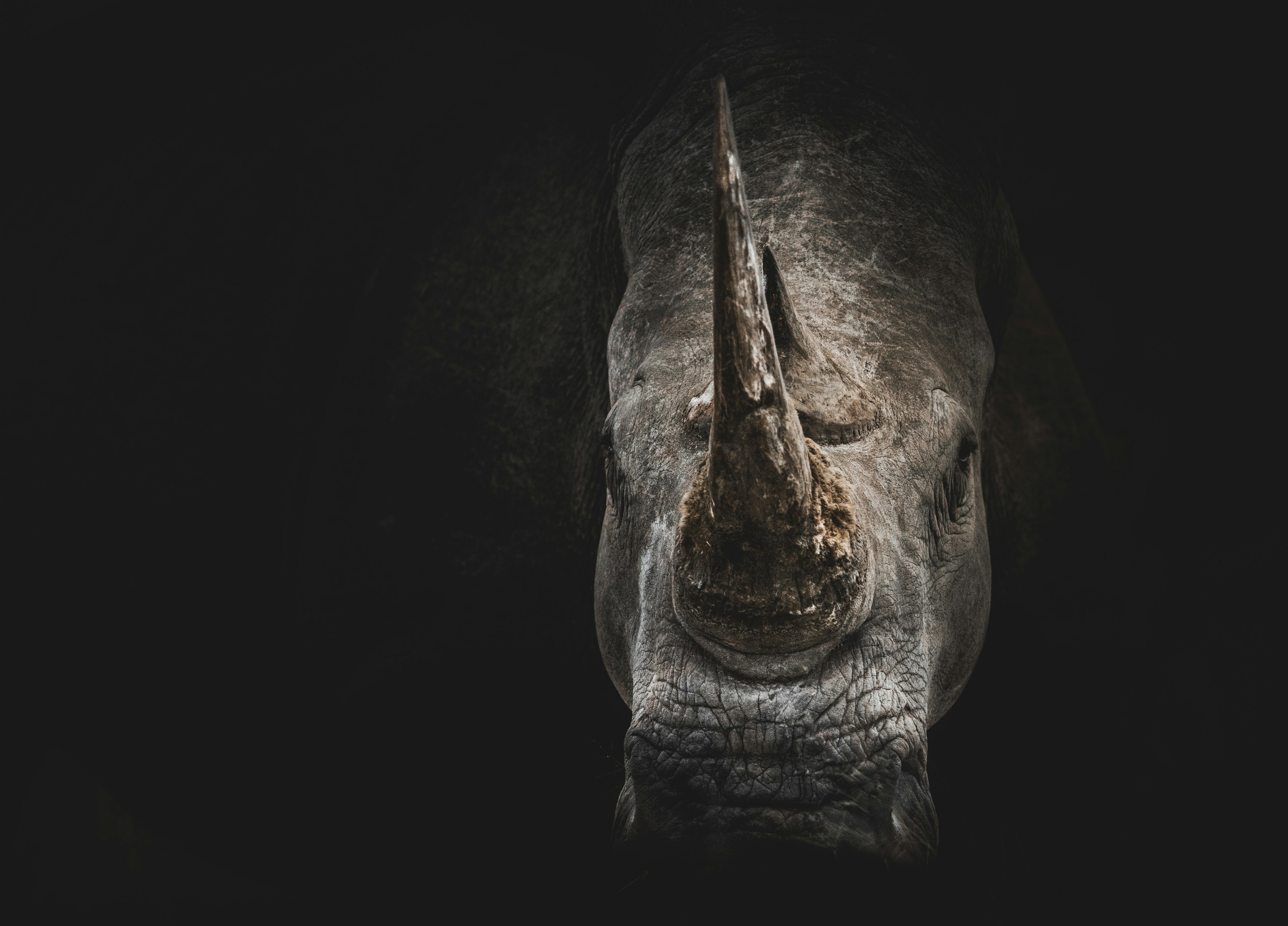 Chitwan National Park