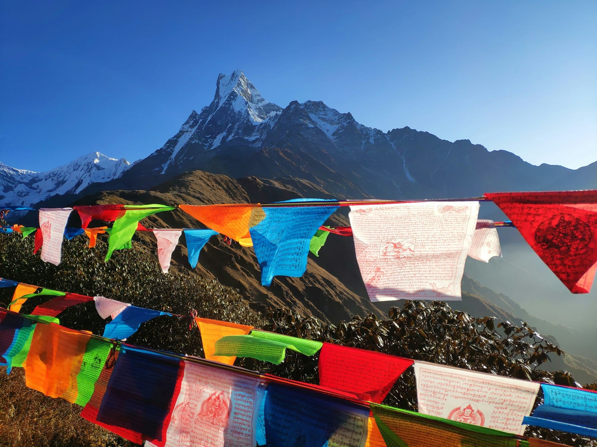 Nepal Contact